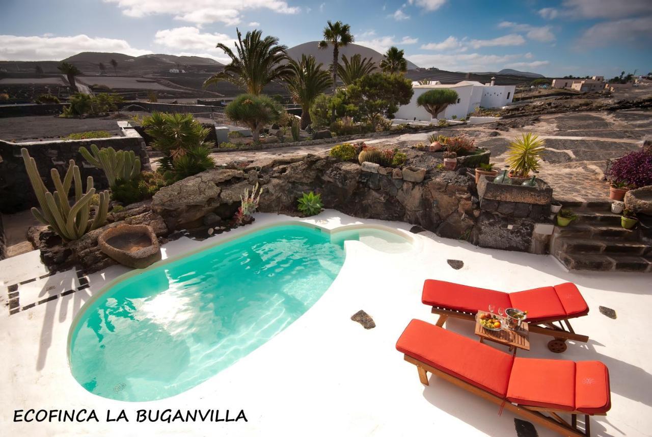 Ecofinca La Buganvilla (Adults Only) San Bartolomé Exterior foto